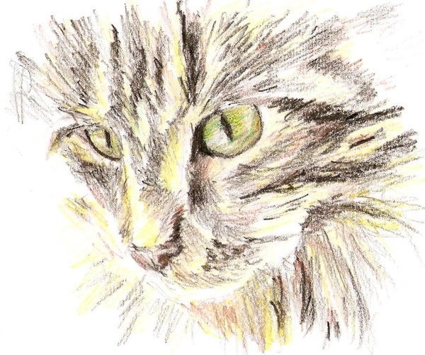 Рисунки восковыми мелками