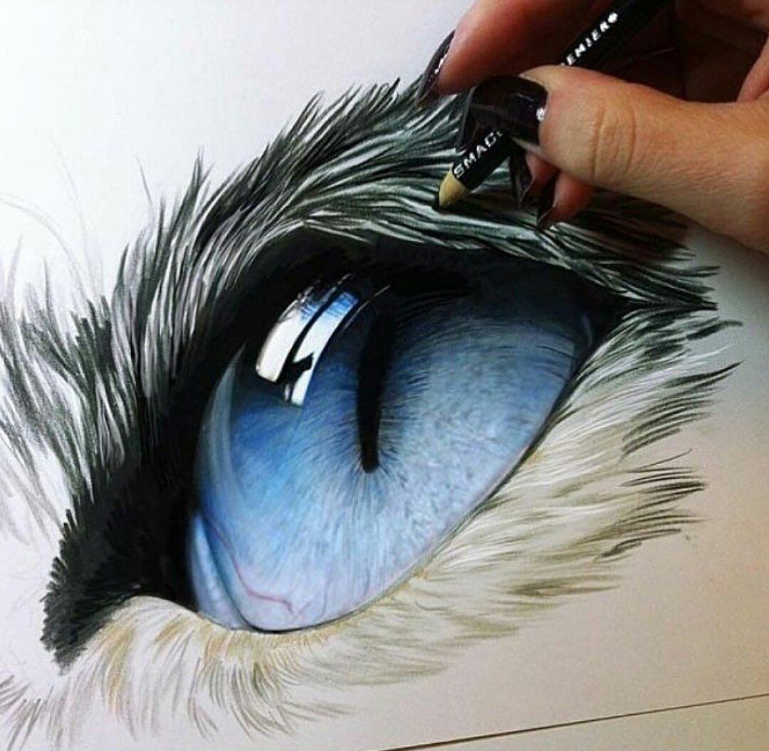 Глаза животных для рисования