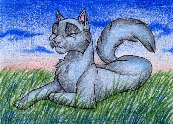 Рисунки котов воителей карандашом