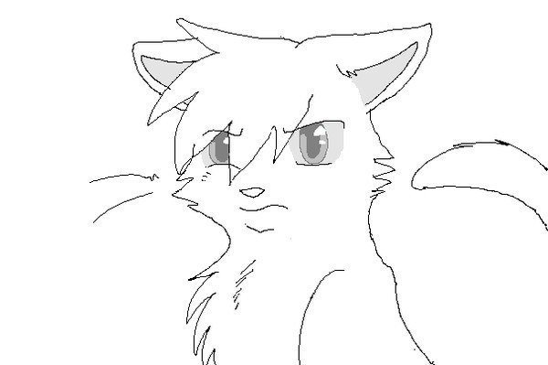 Коты Воители для срисовки