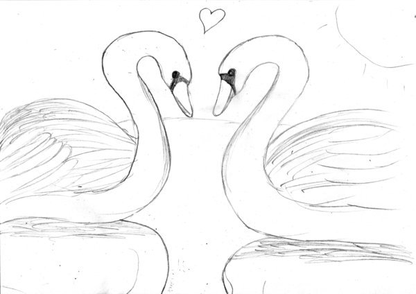 Лебеди сухой пастелью