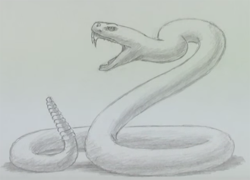 Срисовка легко и красиво змеи