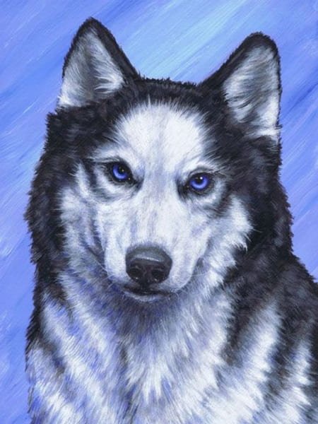 Хаски для рисования