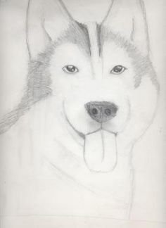 Рисунки из лайка легкие