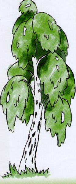 Рисование осенней березы