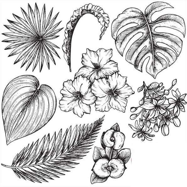 Листья и цветы карандашом