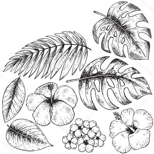 Листья для срисовки