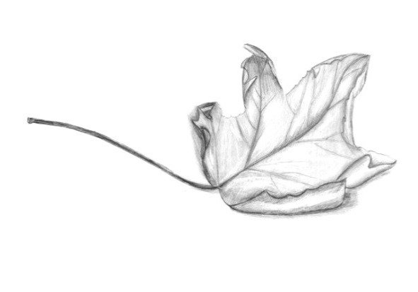 Наброски карандашом для начинающих лёгкие