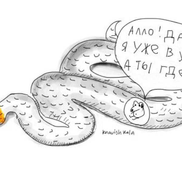 Фразеологизмы рисунки