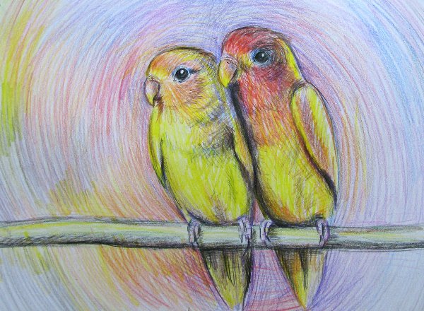 Рисование цветными карандашами