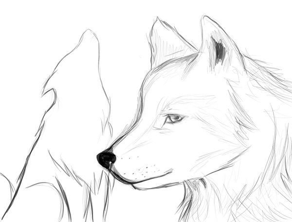 Рисунки для срисовки