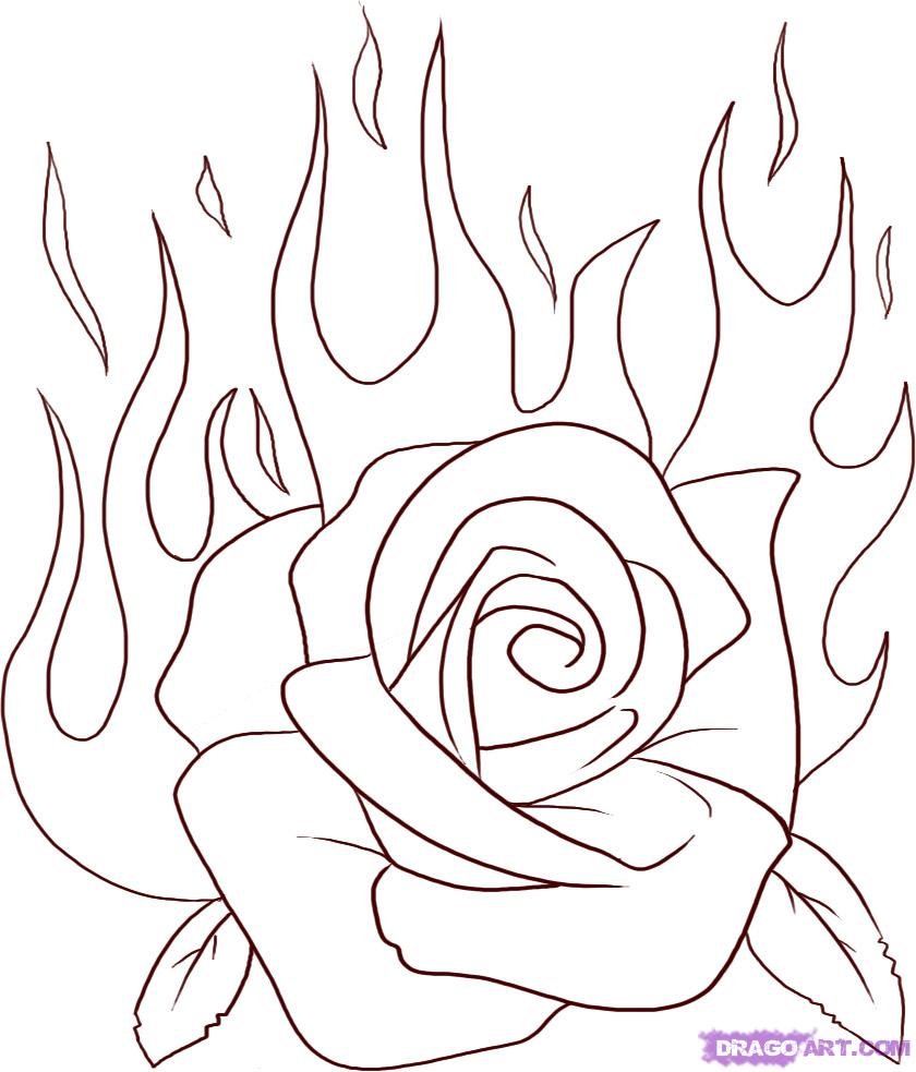 Рисунки для срисовки на лист а4. Рисунок розы для срисовки легкие.