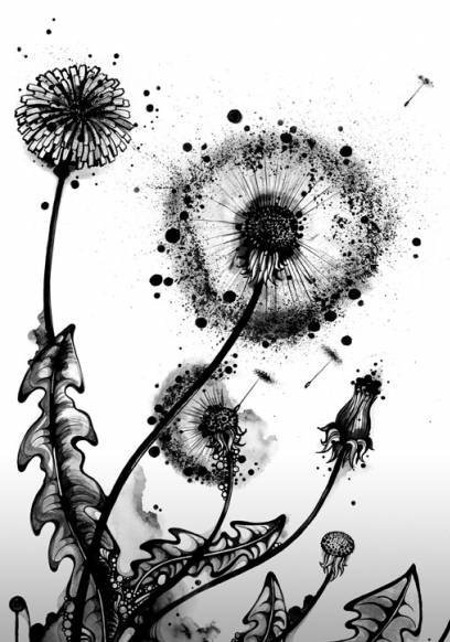 Одуванчик рисунок