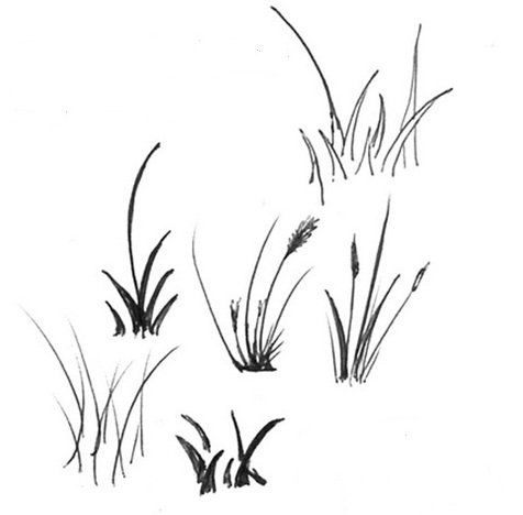 Трава рисунок карандашом