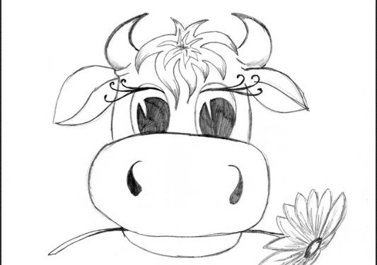 Корова для срисовки