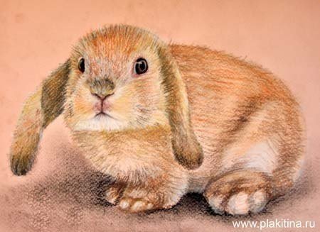 Детские рисунки карандашом