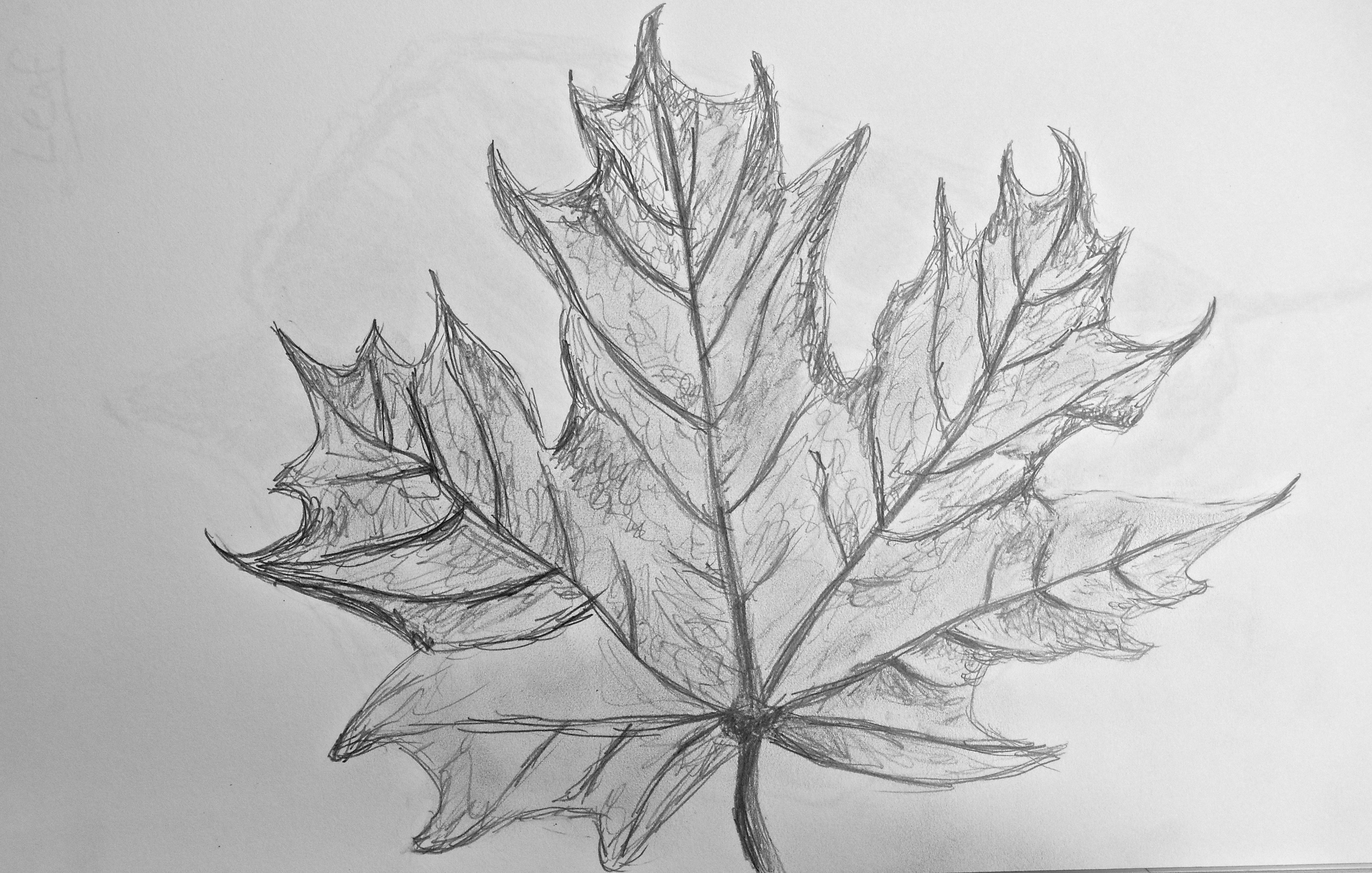 Рисование на листьях клена