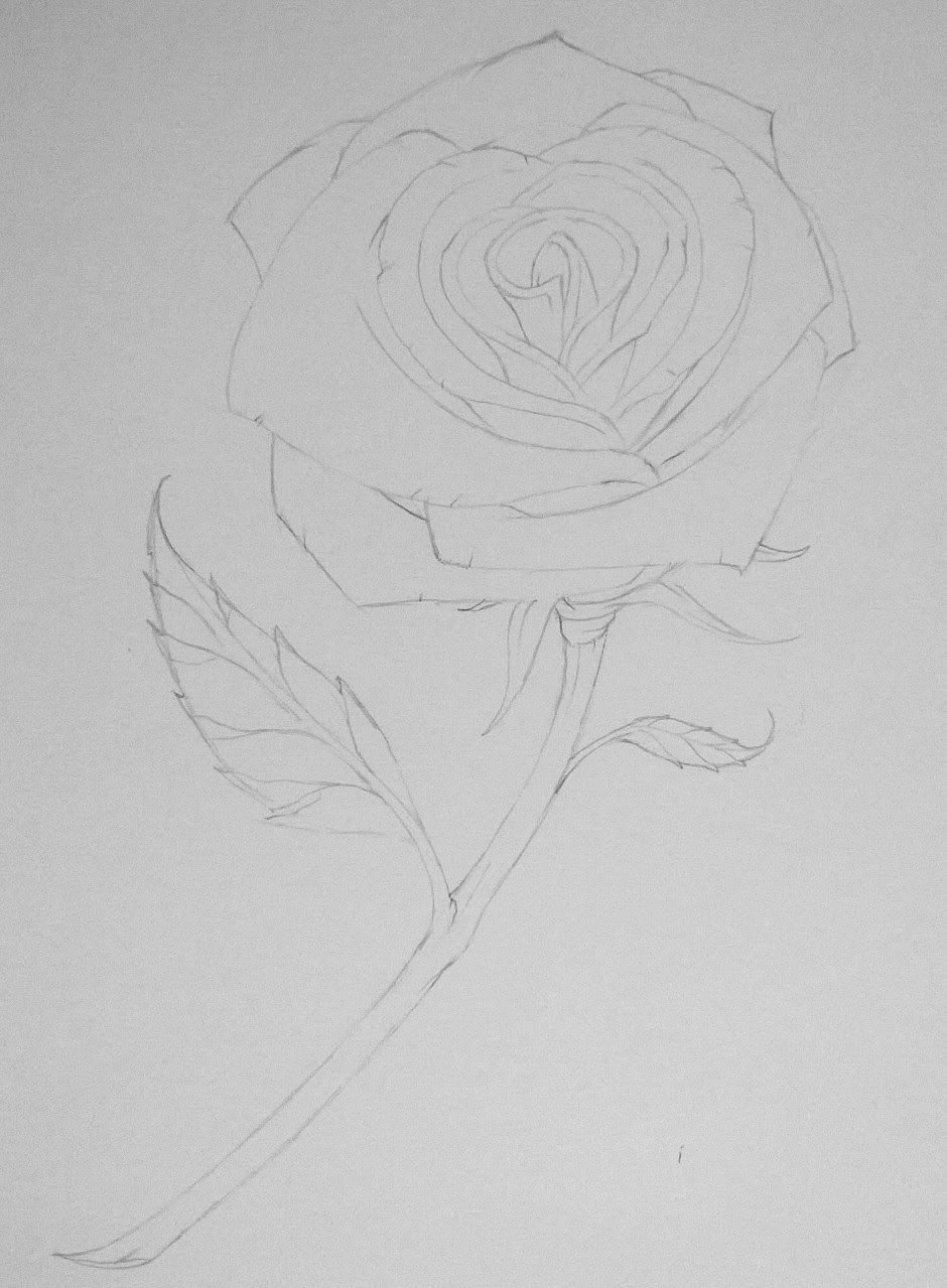Объемная роза карандашом