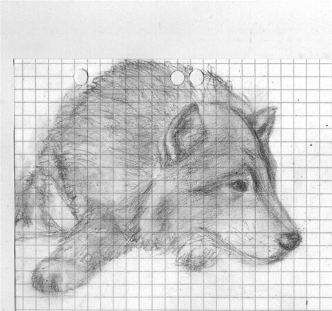 Рисунки по клеткам карандашом