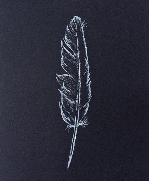 Перо белой ручкой на черной бумаге