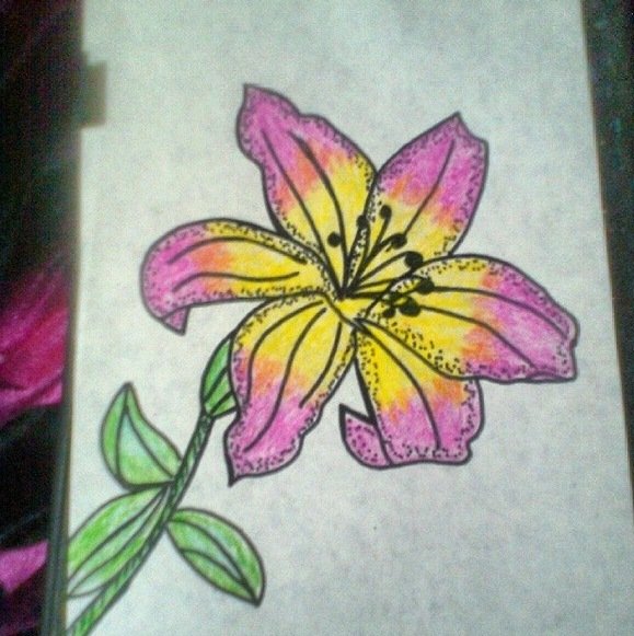 Рисунки фломастерами цветы лёгкие