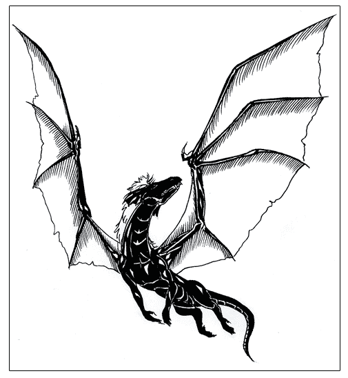 Дракон для срисовки