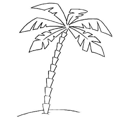 Пальма легкий рисунок
