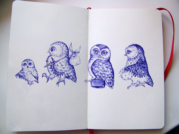 Совы для скетчбука