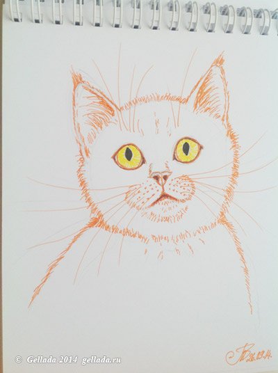 Котик рисунок ручкой