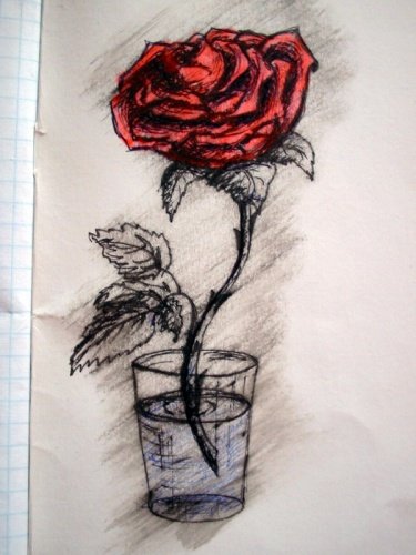 Роза ручкой