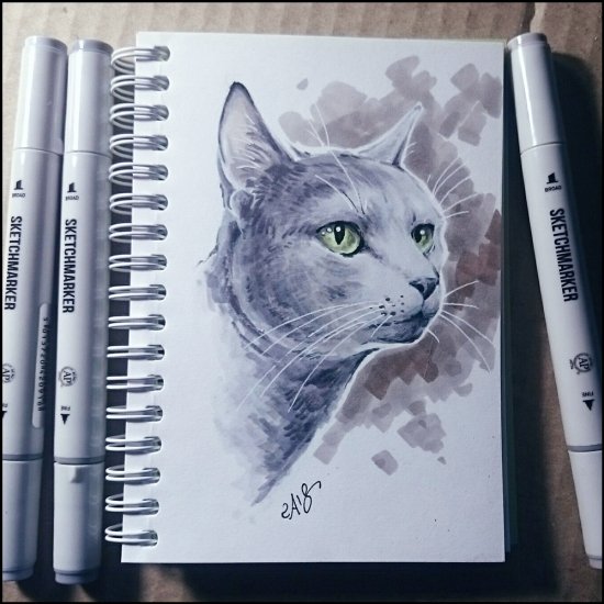 Кошка маркерами