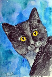 Кошка гуашью для начинающих