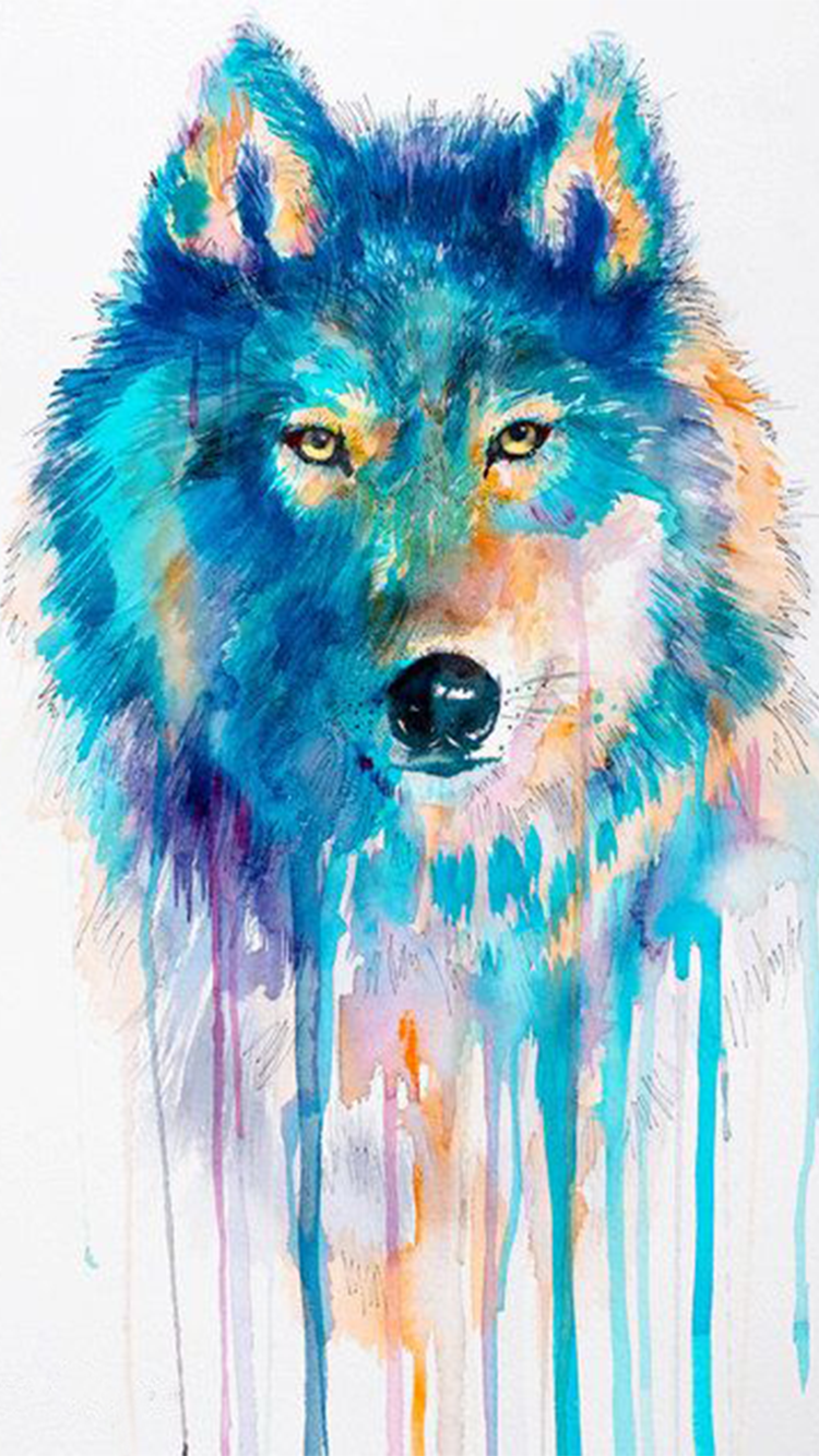 Цветные картинки волка. Волк рисунок. Рисунки акварелью. Животные акварелью. Акварельный волк.