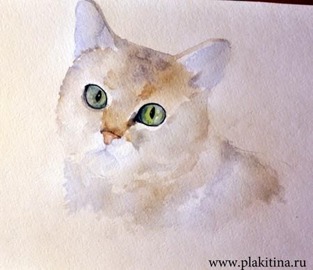 Пошагово кот акварелью