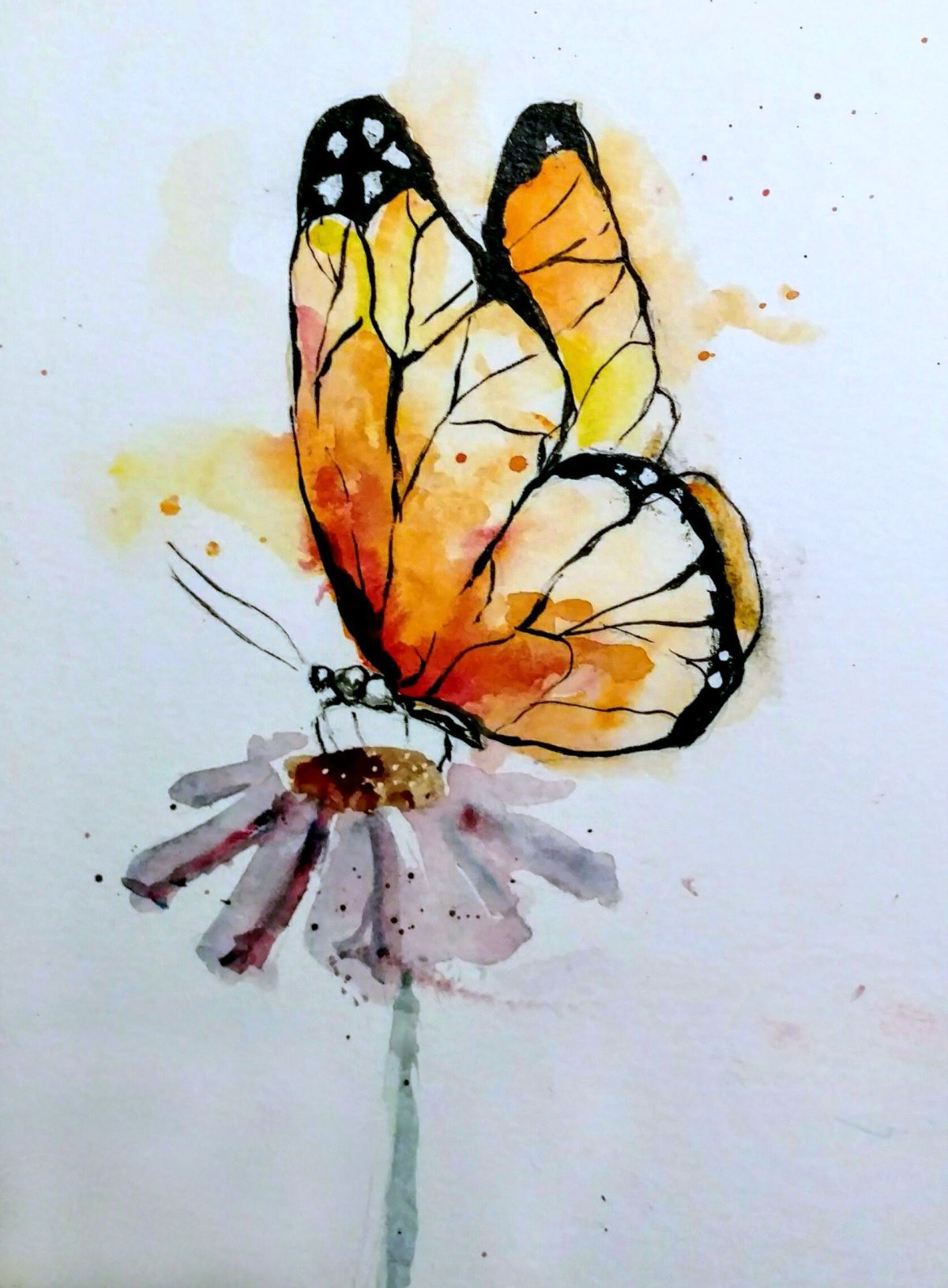 Рисуем бабочку акварелью