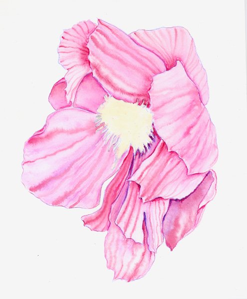 Рисунки акварельными карандашами