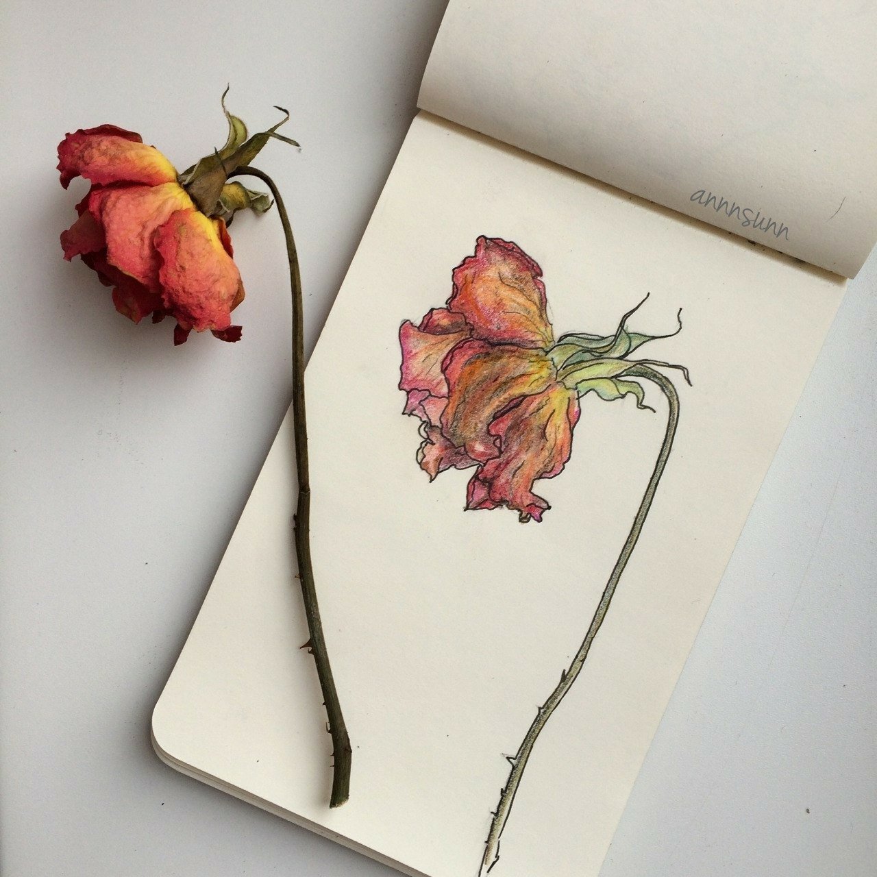 Цветы в скетчбуке цветные