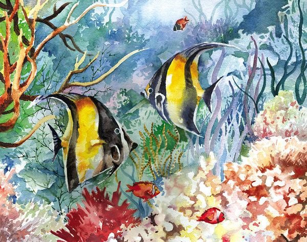 Коралловый риф Скалярия