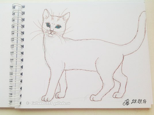 Рисунок кота на альбомном листе