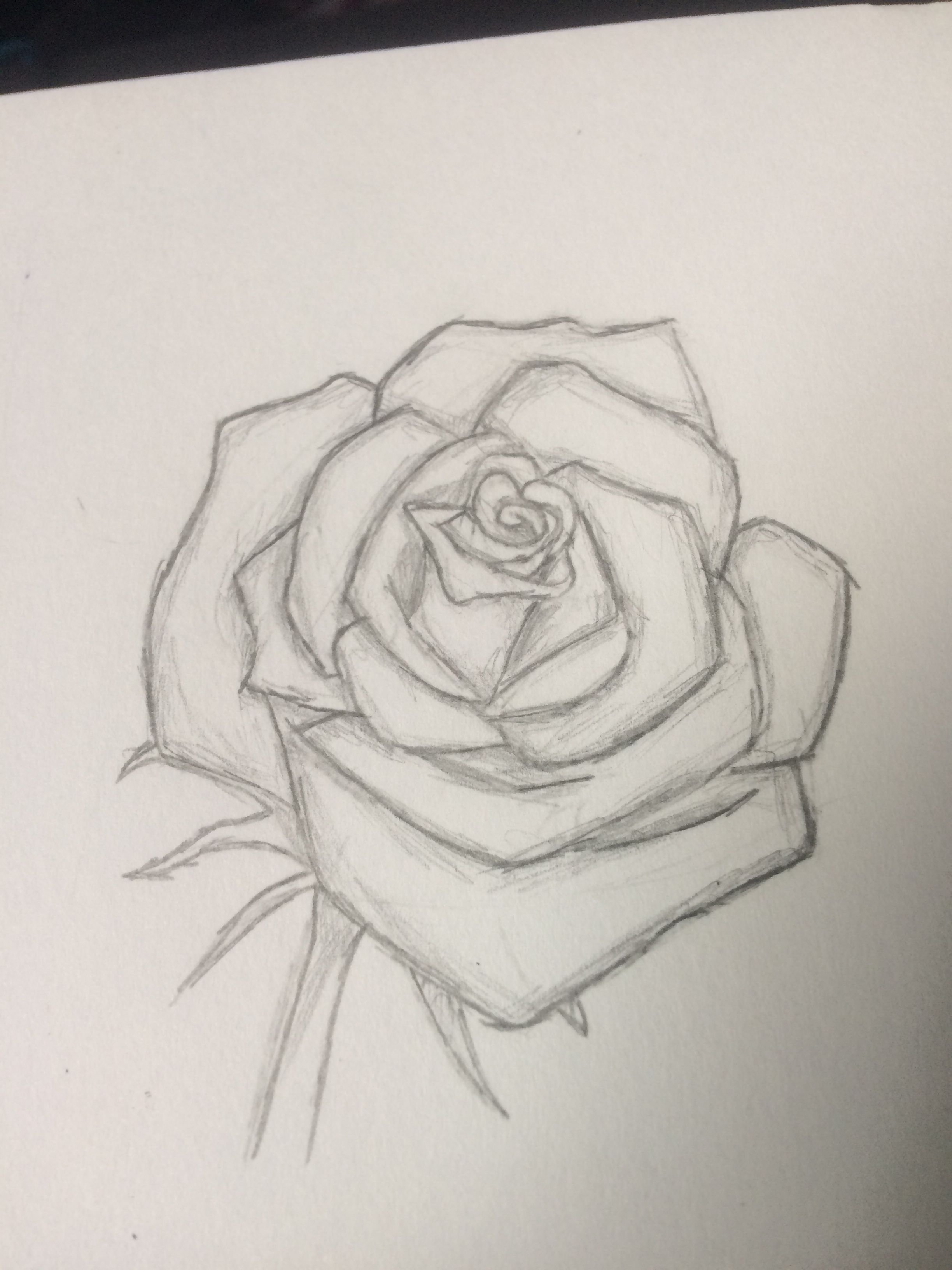 Роза рисунок карандашом легкий