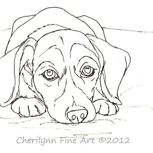 Собаки карандашом очень красиво