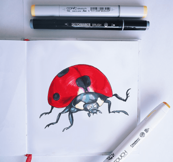 Рисунки маркерами для начинающих