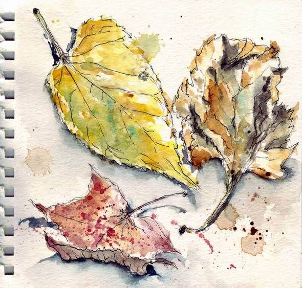 Листья акварель скетчинг