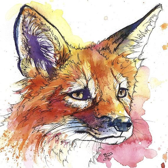 Скетчинг акварелью лиса