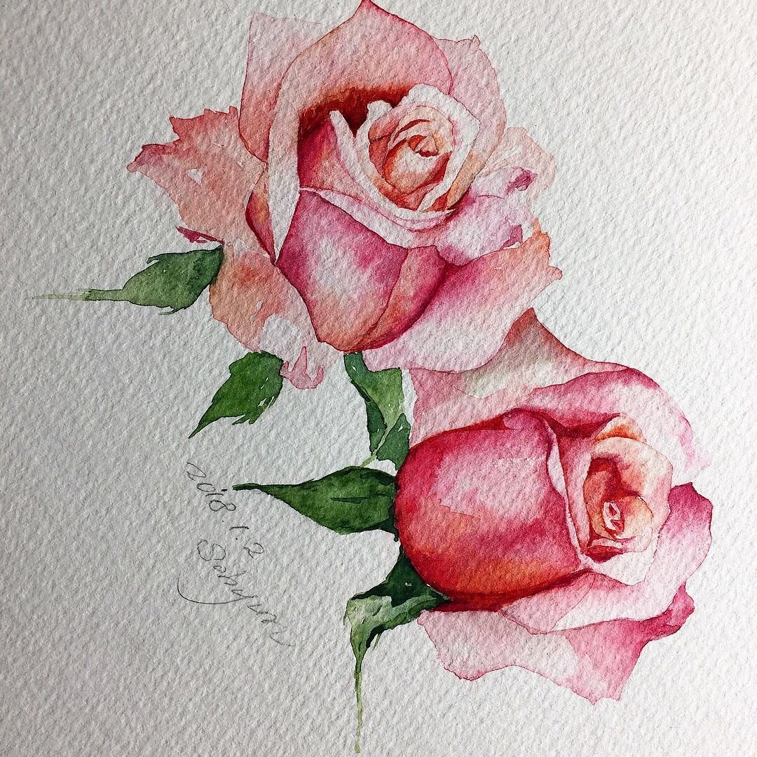 Роза акварельными карандашами