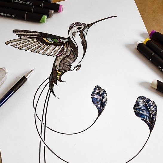 Эскизы тату Колибри с длинным хвостом
