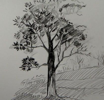 Дерево черной ручкой