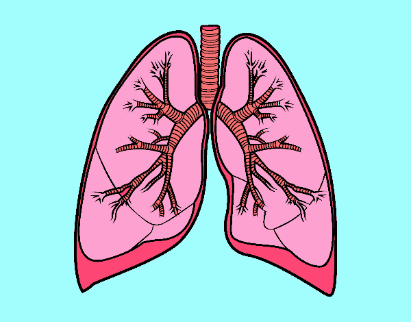 Легкие рисунки
