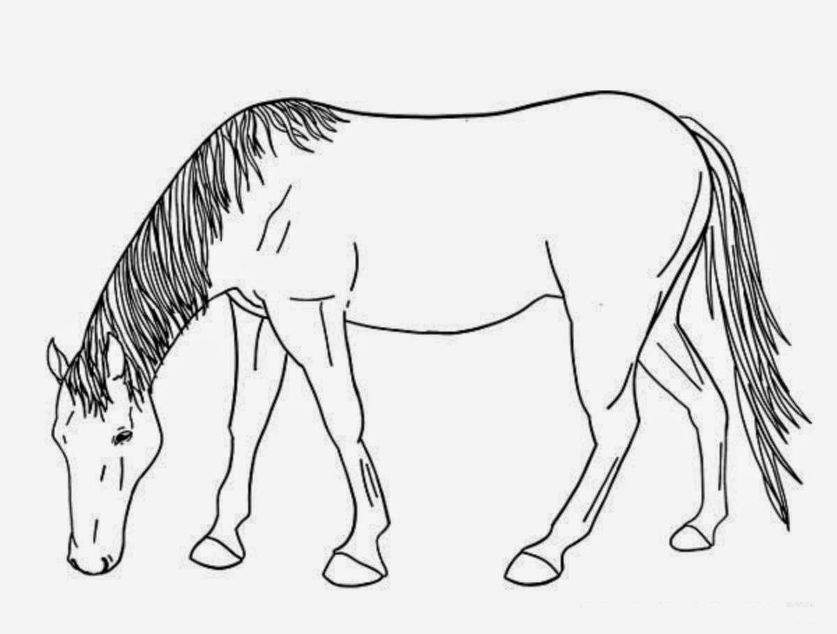 Эскиз лошади для рисования