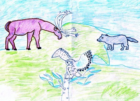 Тундра рисунок для 4 класса